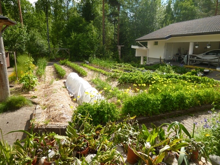 2018.7.8 フィンランド2-⑤.jpg